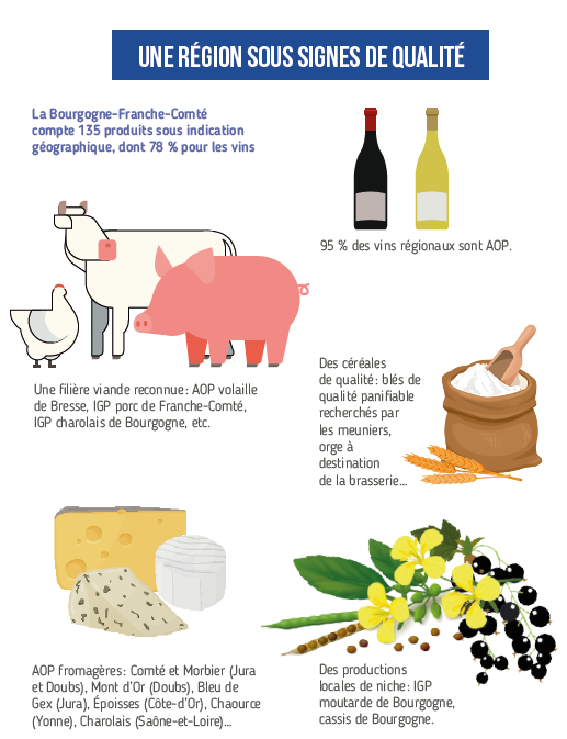 Tout Savoir Sur… L’agriculture En Région Bourgogne Franche Comté - APECITA